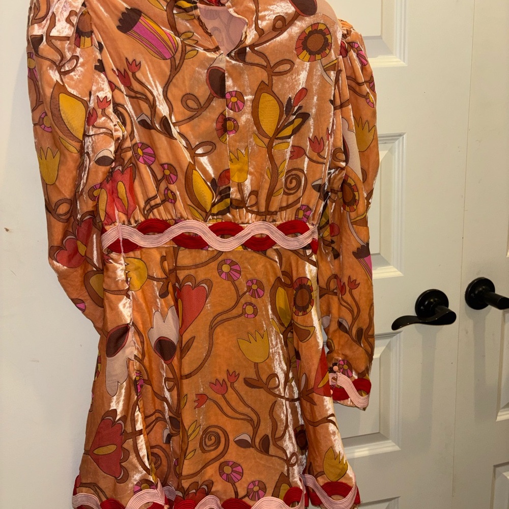 CeliaB Flamingo Dress in Pink and Orange - Picture 3 of 6